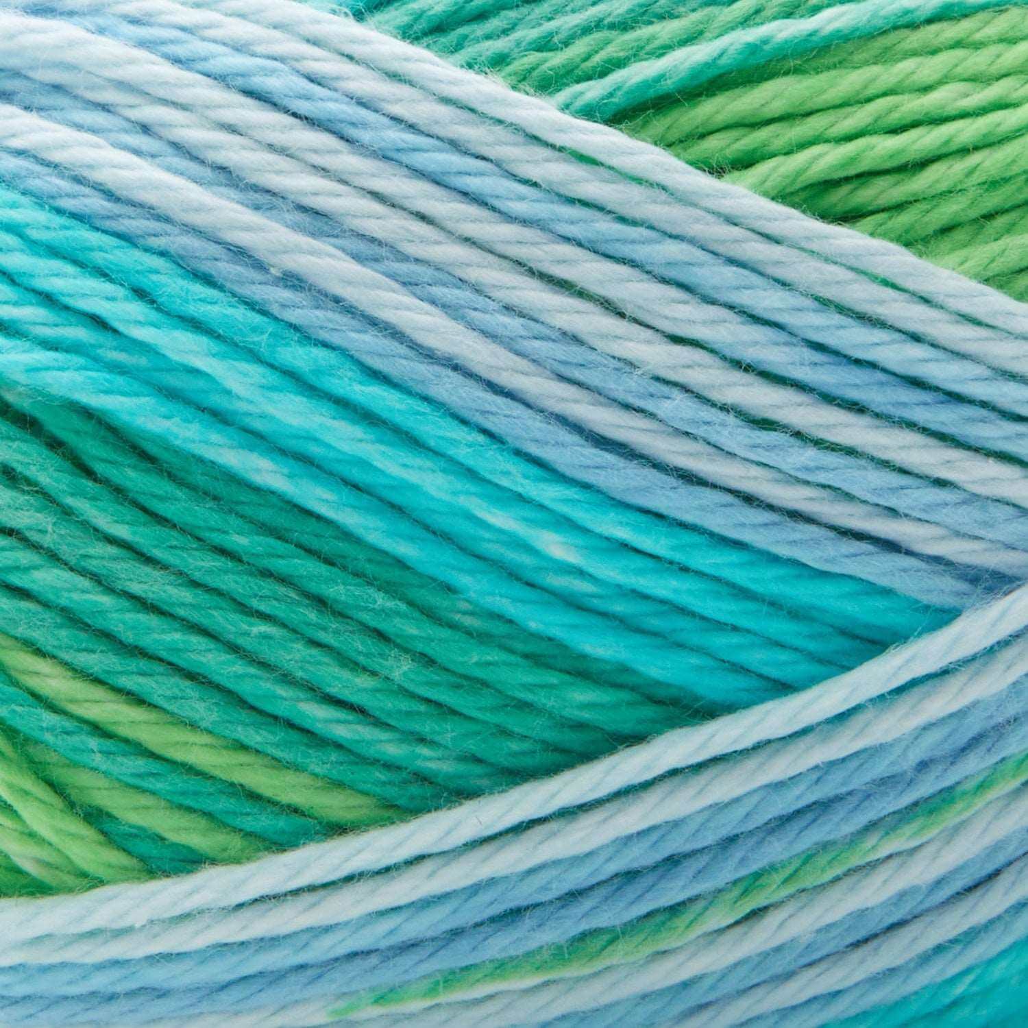 Premier Cotton Sprout Worsted Multi Yarn - IBM Yarns