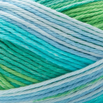 Premier Cotton Sprout Worsted Multi Yarn - IBM Yarns