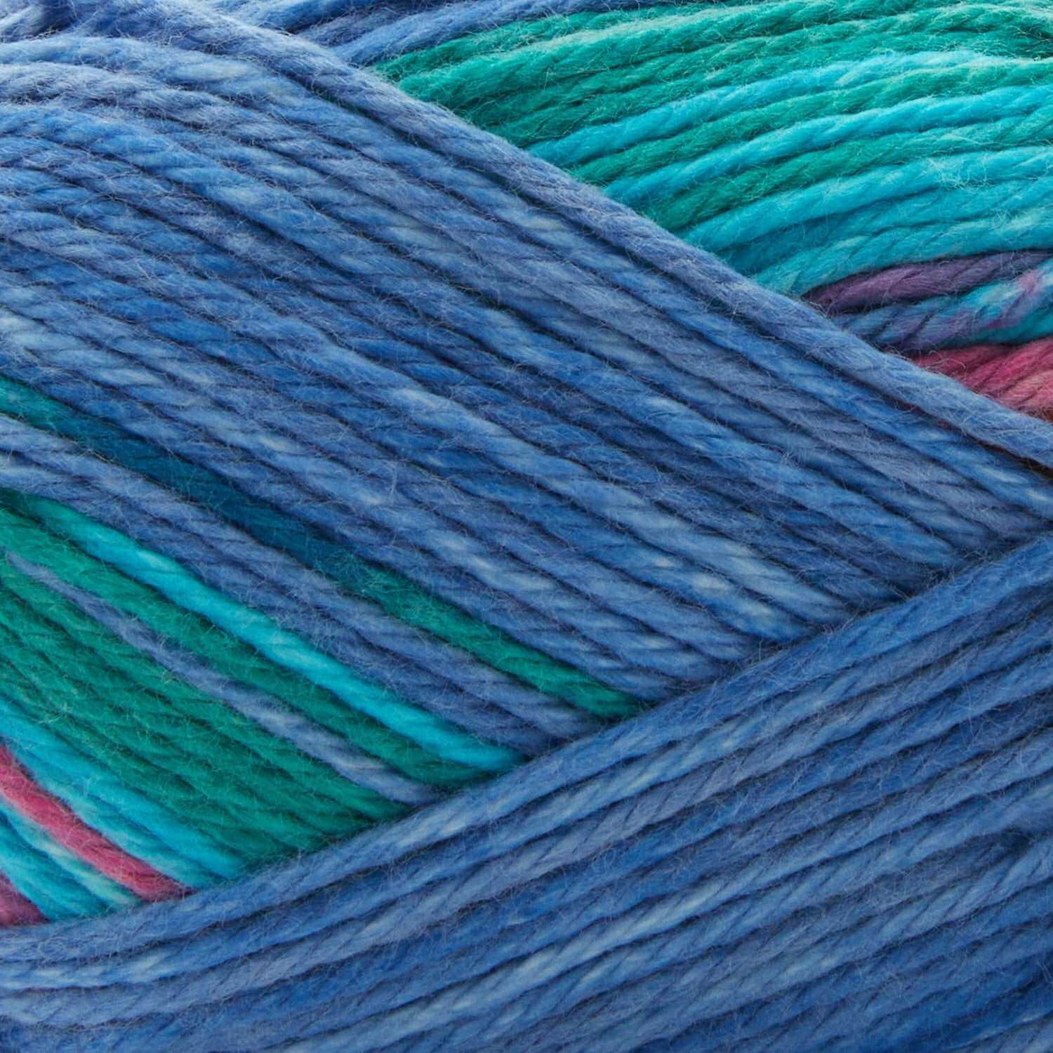 Premier Cotton Sprout Worsted Multi Yarn - IBM Yarns