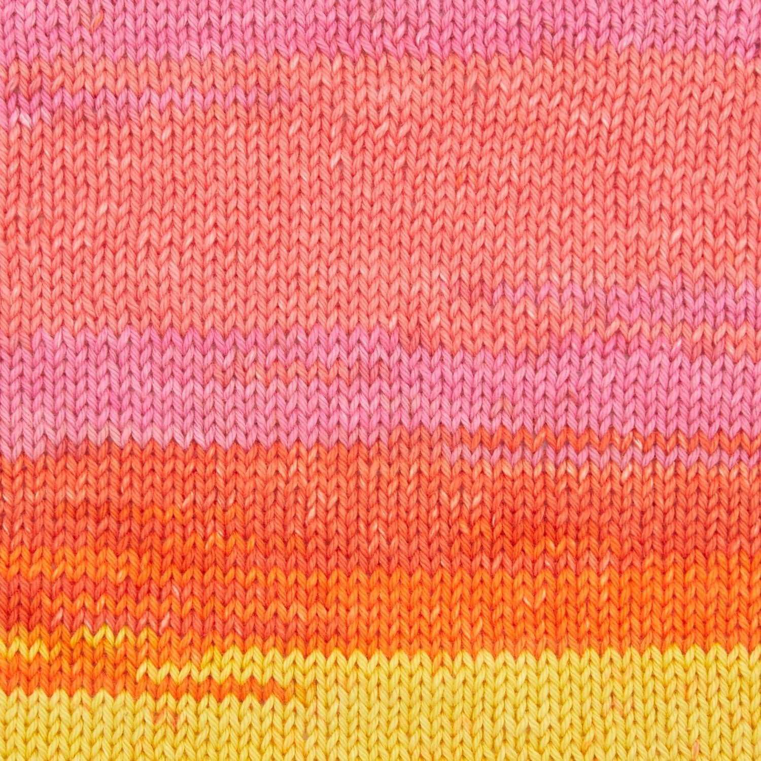 Premier Cotton Sprout Worsted Multi Yarn - IBM Yarns